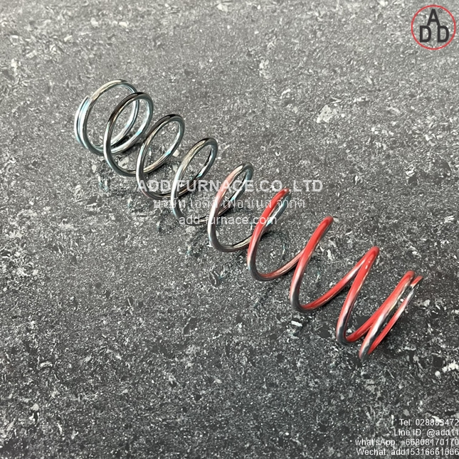 Kromschroder VGBF 50 Spring 100-160mBar (5)